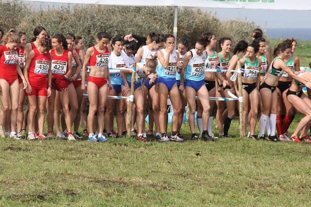 2010 Campionato de España de Cross 425